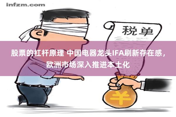 股票的杠杆原理 中国电器龙头IFA刷新存在感，欧洲市场深入推进本土化