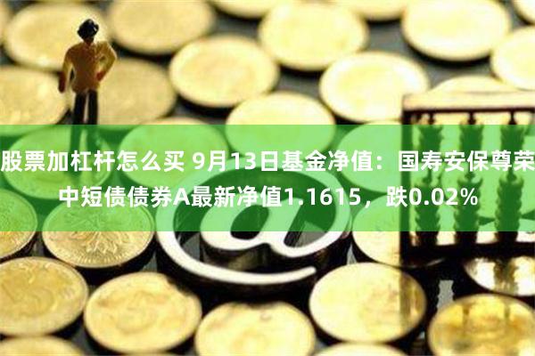 股票加杠杆怎么买 9月13日基金净值：国寿安保尊荣中短债债券A最新净值1.1615，跌0.02%