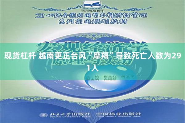 现货杠杆 越南更正台风“摩羯”导致死亡人数为291人