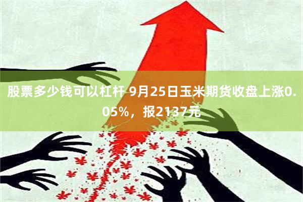 股票多少钱可以杠杆 9月25日玉米期货收盘上涨0.05%，报2137元