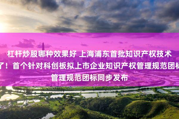 杠杆炒股哪种效果好 上海浦东首批知识产权技术调查官来了！首个针对科创板拟上市企业知识产权管理规范团标同步发布