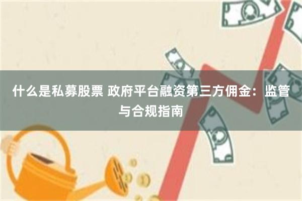 什么是私募股票 政府平台融资第三方佣金：监管与合规指南