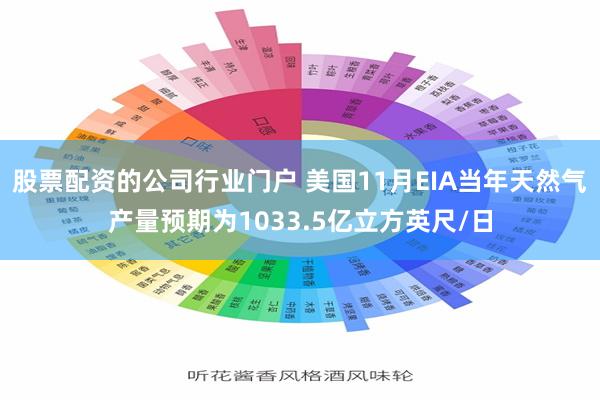 股票配资的公司行业门户 美国11月EIA当年天然气产量预期为1033.5亿立方英尺/日