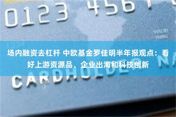 场内融资去杠杆 中欧基金罗佳明半年报观点：看好上游资源品、企业出海和科技创新