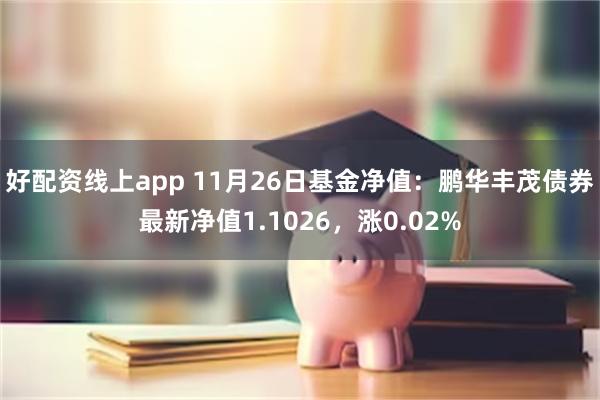 好配资线上app 11月26日基金净值：鹏华丰茂债券最新净值1.1026，涨0.02%