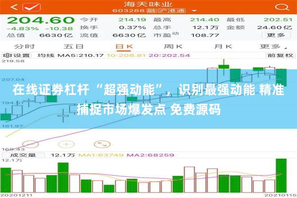 在线证劵杠杆 “超强动能”，识别最强动能 精准捕捉市场爆发点 免费源码