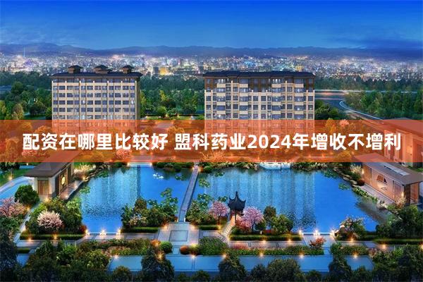 配资在哪里比较好 盟科药业2024年增收不增利