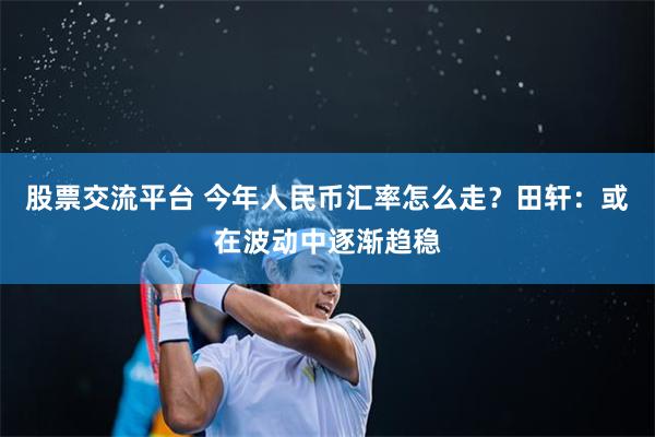 股票交流平台 今年人民币汇率怎么走？田轩：或在波动中逐渐趋稳