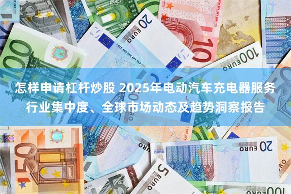 怎样申请杠杆炒股 2025年电动汽车充电器服务行业集中度、全球市场动态及趋势洞察报告