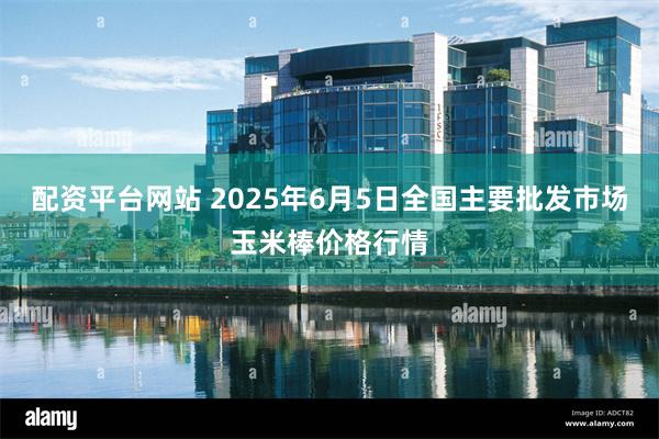 配资平台网站 2025年6月5日全国主要批发市场玉米棒价格行情