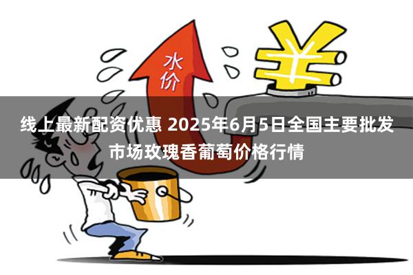 线上最新配资优惠 2025年6月5日全国主要批发市场玫瑰香葡萄价格行情