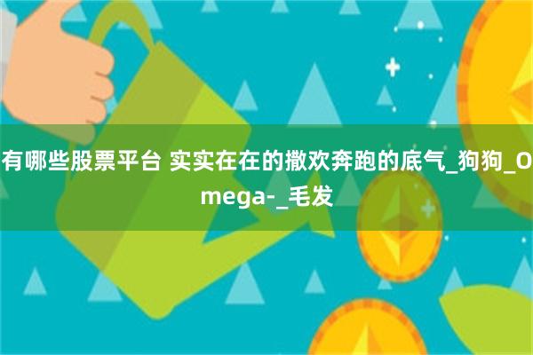 有哪些股票平台 实实在在的撒欢奔跑的底气_狗狗_Omega-_毛发