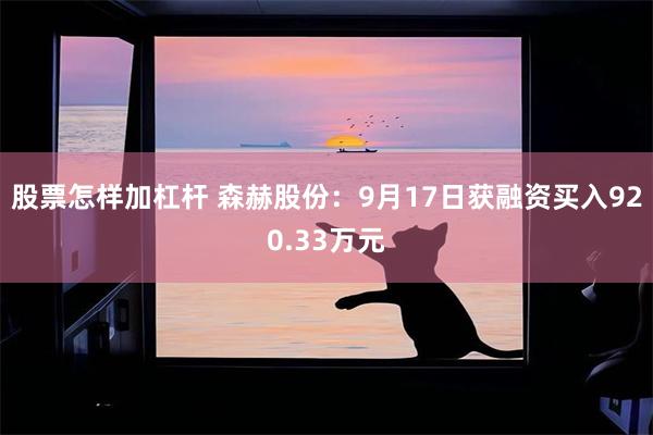 股票怎样加杠杆 森赫股份：9月17日获融资买入920.33万元
