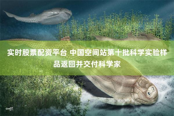 实时股票配资平台 中国空间站第十批科学实验样品返回并交付科学家