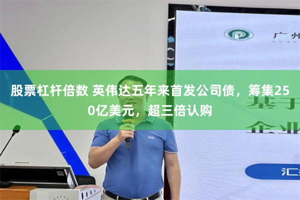 股票杠杆倍数 英伟达五年来首发公司债，筹集250亿美元，超三倍认购
