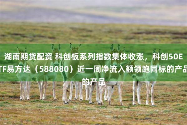 湖南期货配资 科创板系列指数集体收涨，科创50ETF易方达（588080）近一周净流入额领跑同标的产品