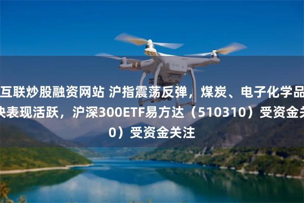 互联炒股融资网站 沪指震荡反弹，煤炭、电子化学品板块表现活跃，沪深300ETF易方达（510310）受资金关注