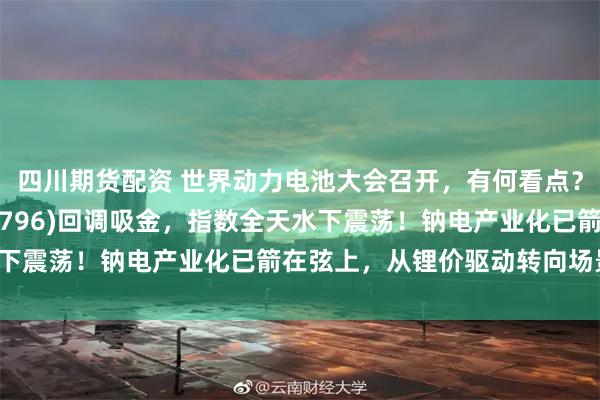 四川期货配资 世界动力电池大会召开，有何看点？电池ETF汇添富(159796)回调吸金，指数全天水下震荡！钠电产业化已箭在弦上，从锂价驱动转向场景驱动！