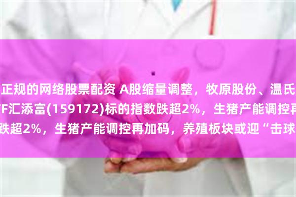 正规的网络股票配资 A股缩量调整，牧原股份、温氏股份跌超2%，养殖ETF汇添富(159172)标的指数跌超2%，生猪产能调控再加码，养殖板块或迎“击球甜区”？