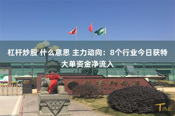 杠杆炒股 什么意思 主力动向：8个行业今日获特大单资金净流入