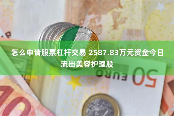 怎么申请股票杠杆交易 2587.83万元资金今日流出美容护理股